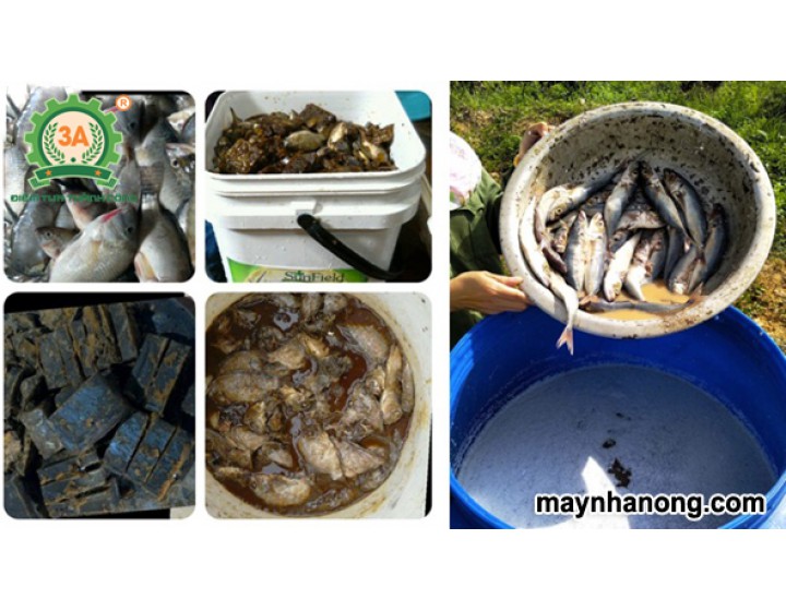 Cách ủ phân hữu cơ vi sinh cá